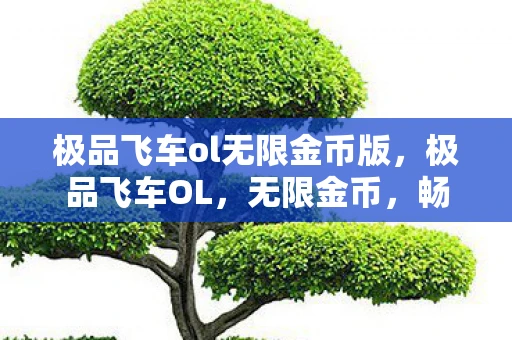 极品飞车ol无限金币版，极品飞车OL，无限金币，畅享赛车激情