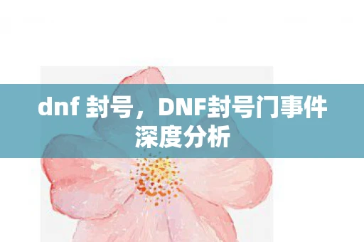 dnf 封号,DNF封号门事件深度分析 dnf 封号,DNF封号门事件深度分析