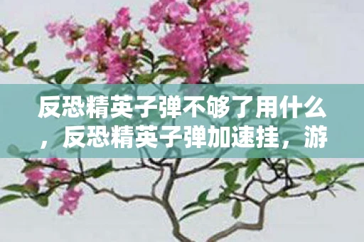 反恐精英子弹不够了用什么,反恐精英子弹加速挂,游戏平衡与道德伦理的探讨 反恐精英子弹不够了用什么,反恐精英子弹加速挂,游戏平衡与道德伦理的探讨