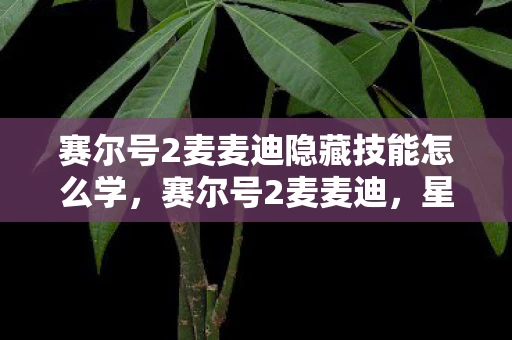 赛尔号2麦麦迪隐藏技能怎么学，赛尔号2麦麦迪，星际间的精灵战斗资讯频道