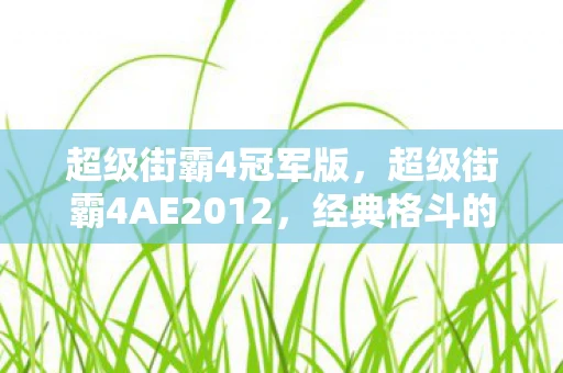 超级街霸4冠军版，超级街霸4AE2012，经典格斗的热血回归