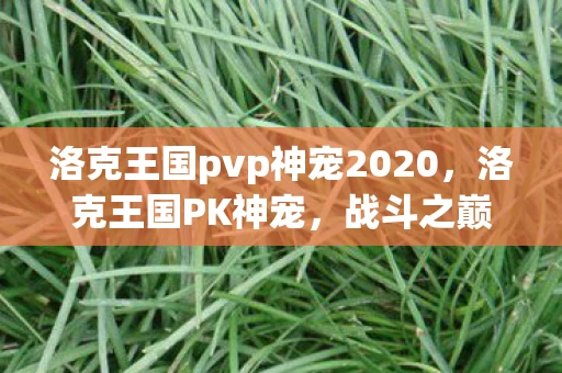 洛克王国pvp神宠2020,洛克王国PK神宠,战斗之巅,神宠悉数登场 洛克王国pvp神宠2020,洛克王国PK神宠,战斗之巅,神宠悉数登场