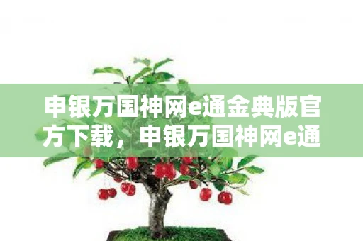 申银万国神网e通金典版官方下载，申银万国神网e通金典版，金融科技的卓越之选