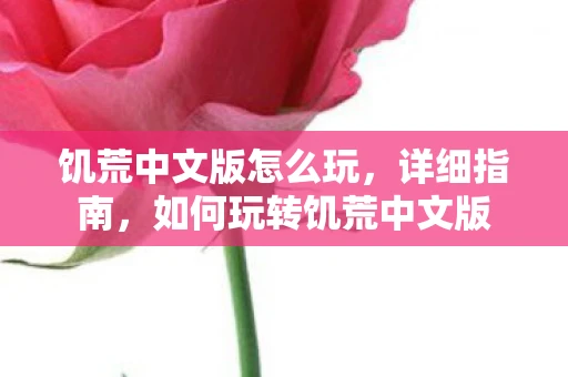 饥荒中文版怎么玩，详细指南，如何玩转饥荒中文版