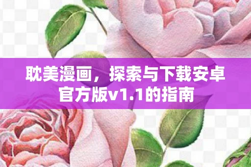 探索与下载安卓官方版v1图片