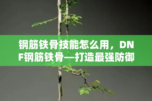 钢筋铁骨技能怎么用,DNF钢筋铁骨—打造最强防御装备 钢筋铁骨技能怎么用,DNF钢筋铁骨—打造最强防御装备