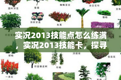 实况2013技能点怎么练满,实况2013技能卡,探寻与战斗的终极武器! 实况2013技能点怎么练满,实况2013技能卡,探寻与战斗的终极武器!