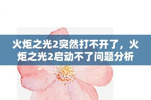 火炬之光2突然打不开了,火炬之光2启动不了问题分析与解决资讯频道 火炬之光2突然打不开了,火炬之光2启动不了问题分析与解决资讯频道