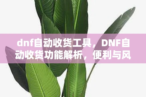 dnf自动收货工具，DNF自动收货功能解析，便利与风险并存
