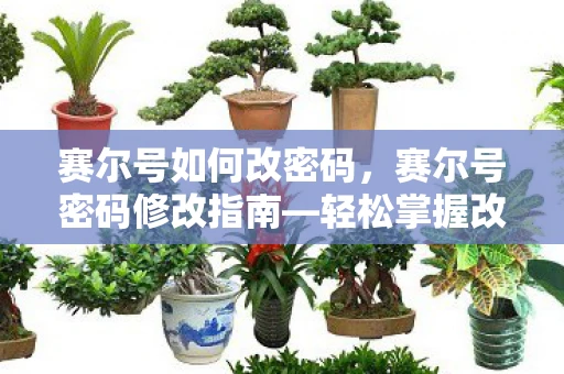 赛尔号如何改密码，赛尔号密码修改指南—轻松掌握改密技巧