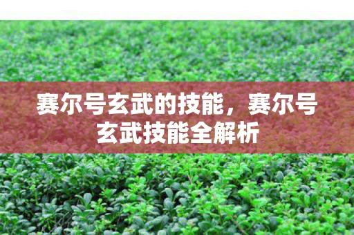 赛尔号玄武的技能，赛尔号玄武技能全解析