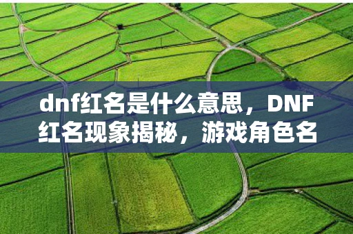 dnf红名是什么意思，DNF红名现象揭秘，游戏角色名与行为对玩家体验的影响资讯频道