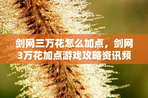 剑网三万花怎么加点，剑网3万花加点游戏攻略资讯频道