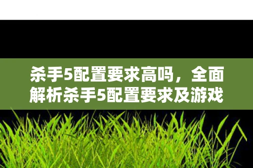 杀手5配置要求高吗,全面解析杀手5配置要求及游戏内容,让你轻松掌握游戏精髓 杀手5配置要求高吗,全面解析杀手5配置要求及游戏内容,让你轻松掌握游戏精髓
