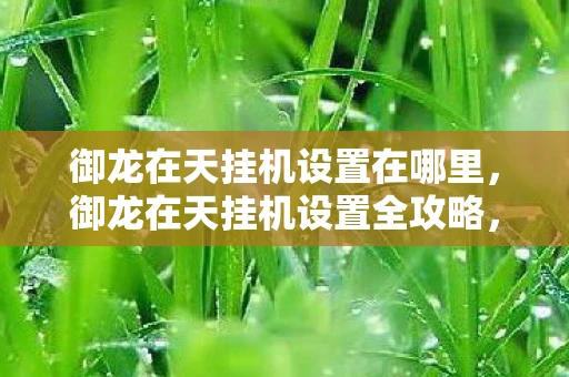 御龙在天挂机设置在哪里,御龙在天挂机设置全攻略,轻松提升游戏效率 御龙在天挂机设置在哪里,御龙在天挂机设置全攻略,轻松提升游戏效率