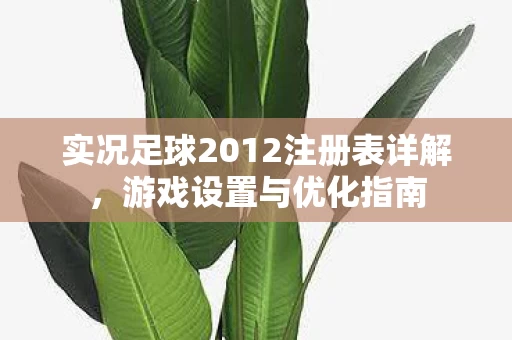 实况足球2012注册表详解图片