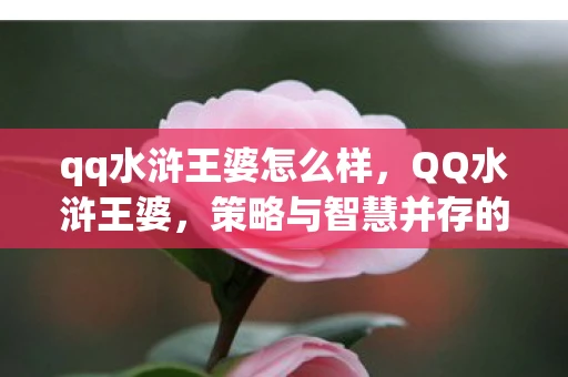 qq水浒王婆怎么样,QQ水浒王婆,策略与智慧并存的游戏体验 qq水浒王婆怎么样,QQ水浒王婆,策略与智慧并存的游戏体验