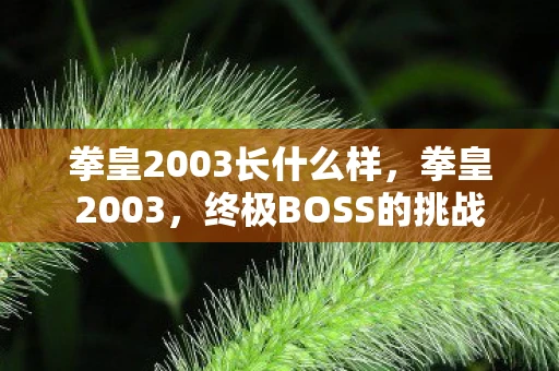 拳皇2003长什么样,拳皇2003,终极BOSS的挑战 拳皇2003长什么样,拳皇2003,终极BOSS的挑战