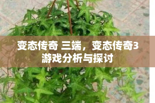 变态传奇 三端，变态传奇3游戏分析与探讨