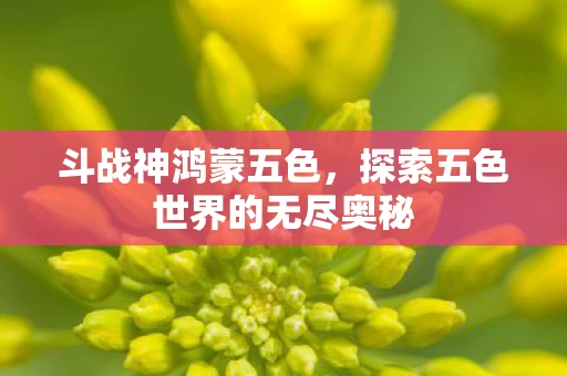 探索五色世界的无尽奥秘图片