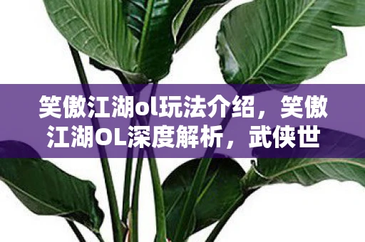 笑傲江湖ol玩法介绍，笑傲江湖OL深度解析，武侠世界的探索之旅