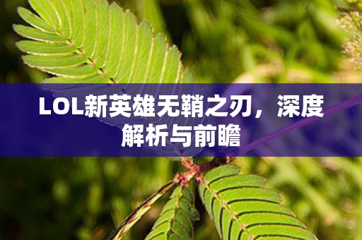 LOL新英雄无鞘之刃图片