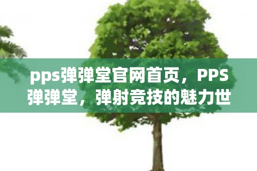 pps弹弹堂官网首页，PPS弹弹堂，弹射竞技的魅力世界资讯