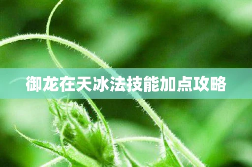 御龙在天冰法技能加点攻略