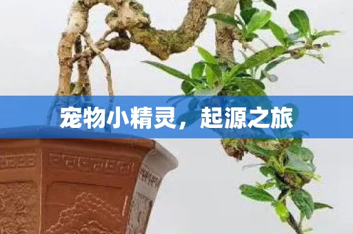 宠物小精灵图片