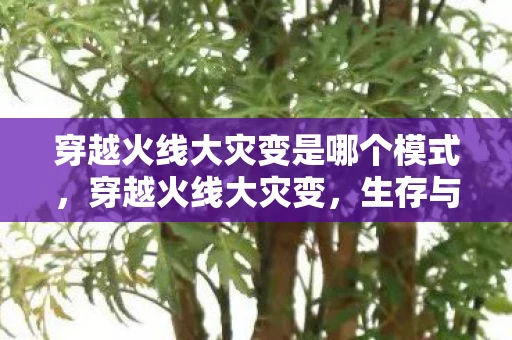 穿越火线大灾变是哪个模式，穿越火线大灾变，生存与勇气的终极挑战