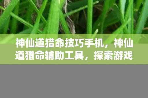 神仙道猎命技巧手机，神仙道猎命辅助工具，探索游戏的无尽可能性