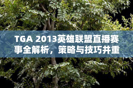 TGA 2013英雄联盟直播赛事全解析，策略与技巧并重