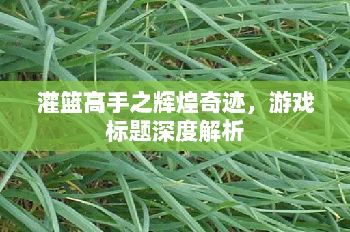 灌篮高手之辉煌奇迹图片