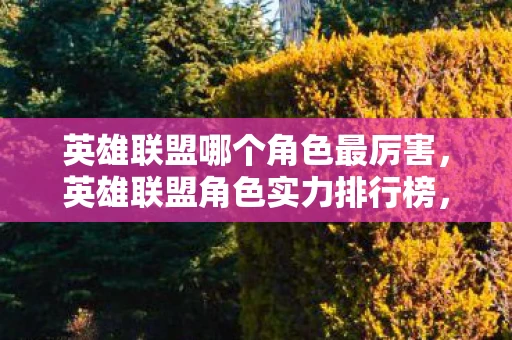 英雄联盟哪个角色最厉害，英雄联盟角色实力排行榜，探讨哪个角色最厉害