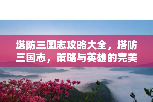 塔防三国志攻略大全，塔防三国志，策略与英雄的完美结合