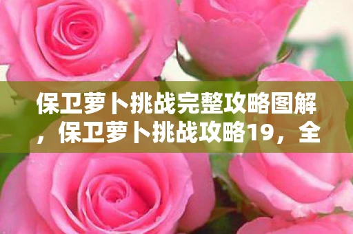 保卫萝卜挑战完整攻略图解,保卫萝卜挑战攻略19,全面解析、战略部署与实战技巧 保卫萝卜挑战完整攻略图解,保卫萝卜挑战攻略19,全面解析、战略部署与实战技巧