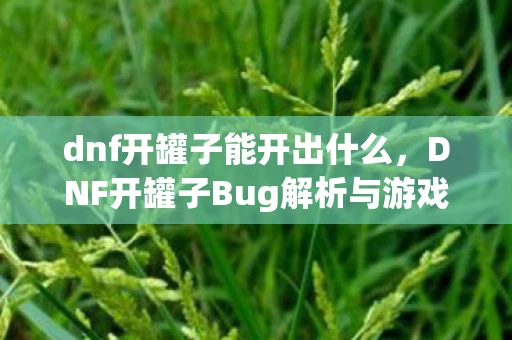 dnf开罐子能开出什么，DNF开罐子Bug解析与游戏影响探讨