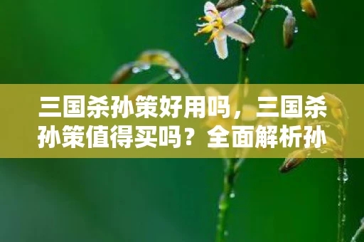 三国杀孙策好用吗，三国杀孙策值得买吗？全面解析孙策的技能与优势