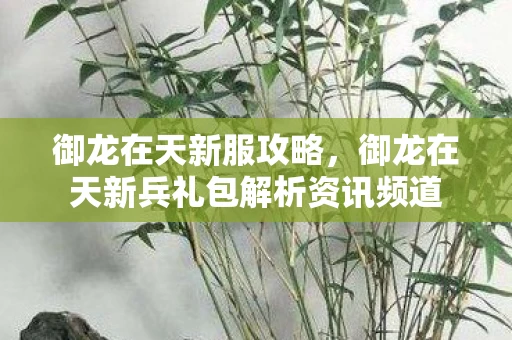 御龙在天新服攻略，御龙在天新兵礼包解析资讯频道