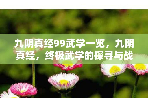 九阴真经99武学一览，九阴真经，终极武学的探寻与战斗艺术
