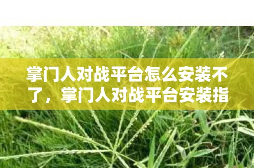 掌门人对战平台怎么安装不了，掌门人对战平台安装指南