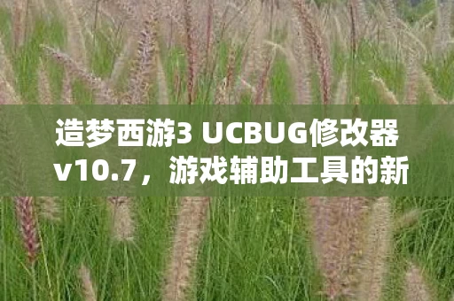 造梦西游3 UCBUG修改器 v10图片