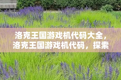 洛克王国游戏机代码大全，洛克王国游戏机代码，探索魔法世界的无限乐趣