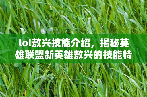 lol敖兴技能介绍，揭秘英雄联盟新英雄敖兴的技能特性