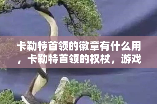 卡勒特首领的徽章有什么用，卡勒特首领的权杖，游戏中的权力与冒险