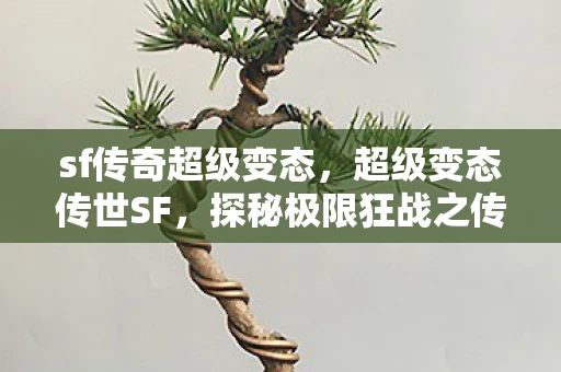 sf传奇超级变态，超级变态传世SF，探秘极限狂战之传世SF的非凡之旅