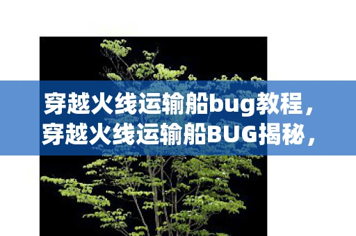 穿越火线运输船bug教程，穿越火线运输船BUG揭秘，挑战与乐趣并存