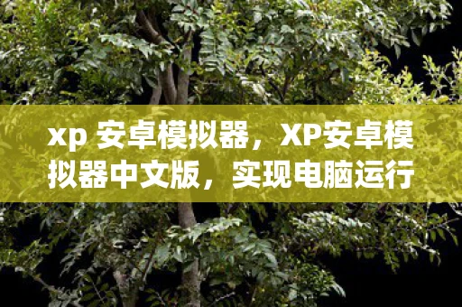 xp 安卓模拟器,XP安卓模拟器中文版,实现电脑运行安卓应用的神器 xp 安卓模拟器,XP安卓模拟器中文版,实现电脑运行安卓应用的神器