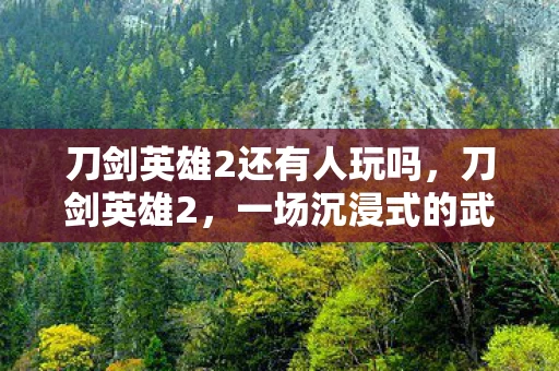 刀剑英雄2还有人玩吗，刀剑英雄2，一场沉浸式的武侠冒险之旅