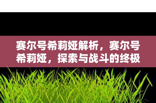 赛尔号希莉娅解析,赛尔号希莉娅,探索与战斗的终极体验 赛尔号希莉娅解析,赛尔号希莉娅,探索与战斗的终极体验